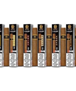 XO HAVANA Einweg E-Zigarre 20mg