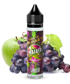 Twelve Monkeys - Aroma Matata